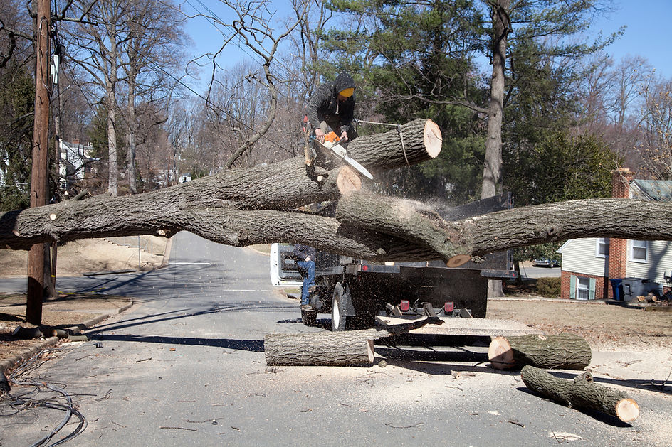 a worker using chainsaw to cut and remove tree from road
