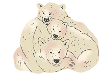 A Rare Kind of Ordinary