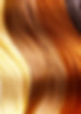 Hair of Many Colors