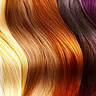 Hair of Many Colors