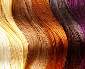 Hair of Many Colors