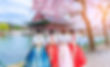 traditional Korean Clothes