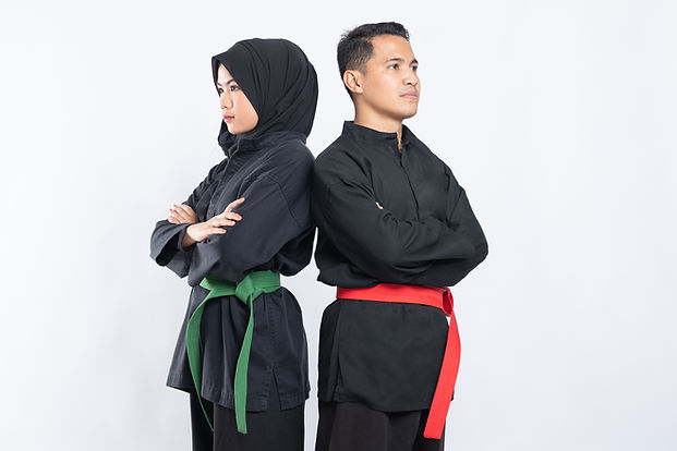Pencak Silat