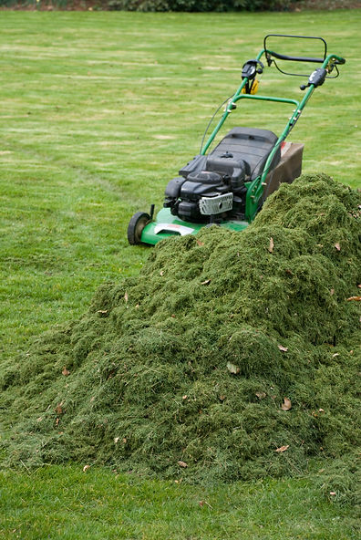 A close-up of a lawn aerator on grass