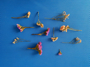 21년 3월25일 (마 26:40)