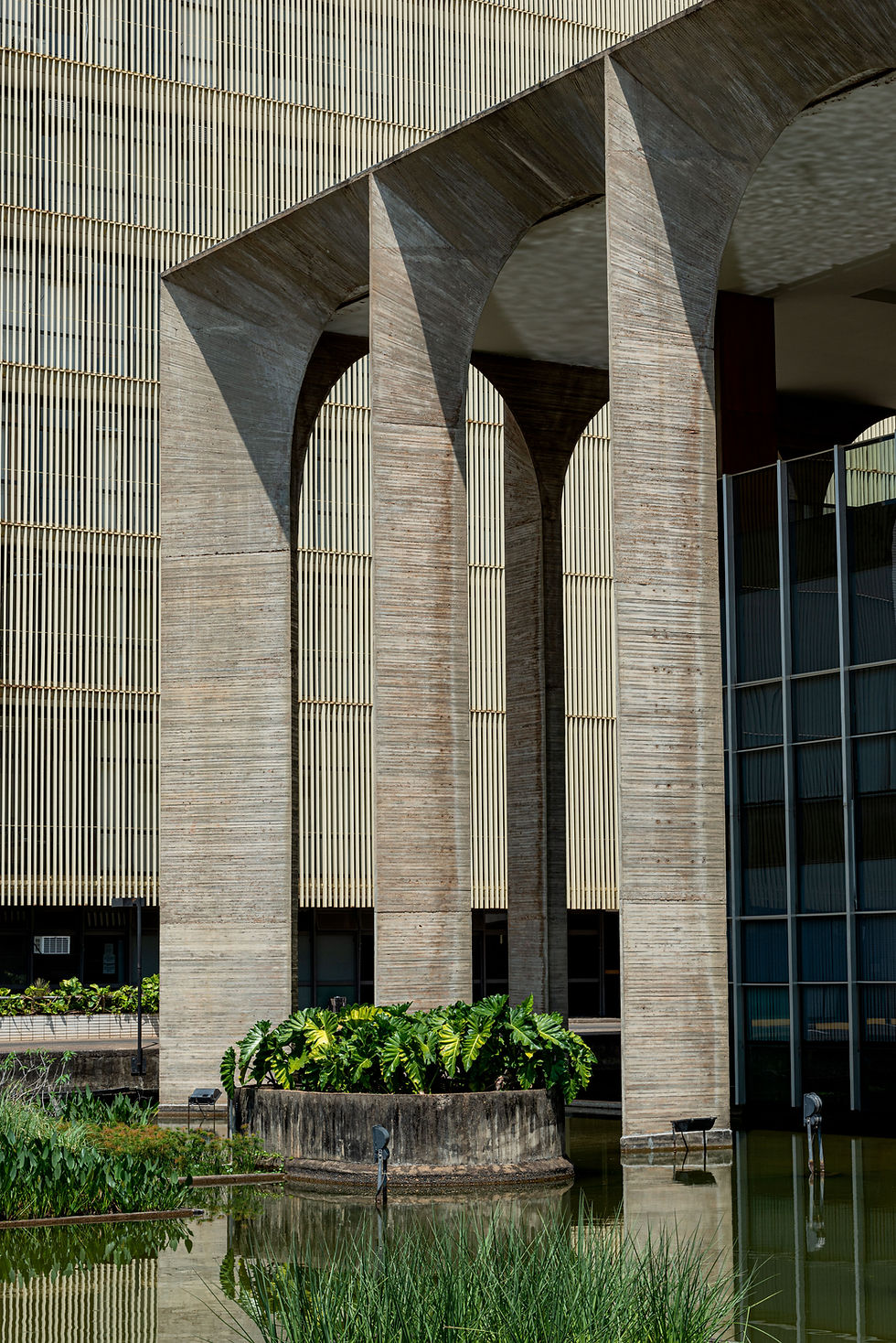 Arquitetura
