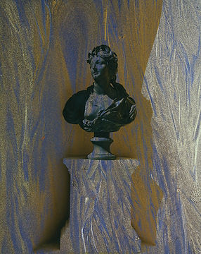 Contemporary Bust Artwork