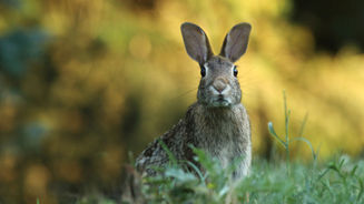 『トベる』戸高 里安奈