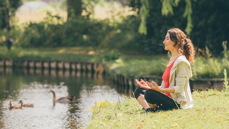 Shrisha Basic Meditation