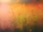Sunrise on Nature