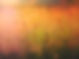 Sunrise on Nature