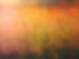 Sunrise on Nature