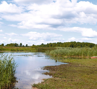 Barco perto do banco