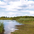 Lakeside Scenery