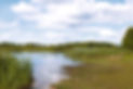 Boat by the Bank