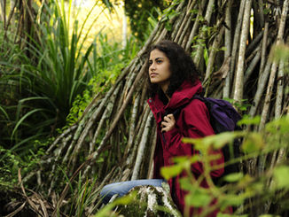 Forest Bathing: The Simple Nature Practice Backed by Science - by Luis Rodrigues