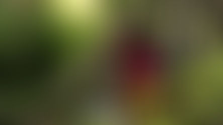 The Pros and Cons of Technology