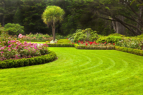 Freshly mowed lawn in a formal garden