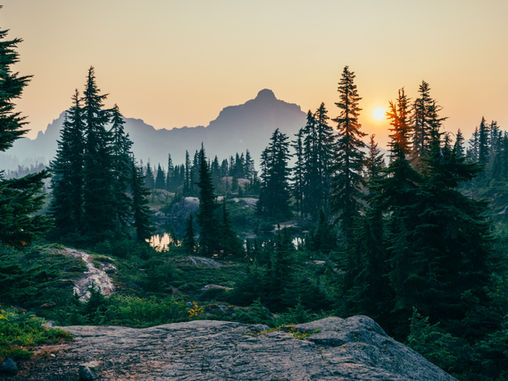 51st EARTH DAY: April 22, 2021