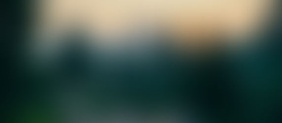 Calming forest sunrise representing gentle inner healing through IFS therapy for complex trauma