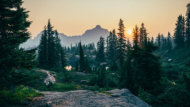 Mountain Forest Sunset