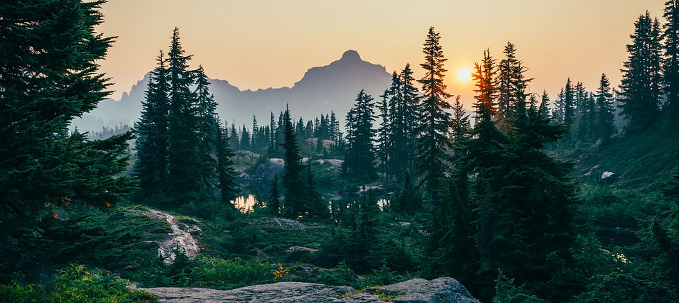Puesta de sol en el bosque de montaña