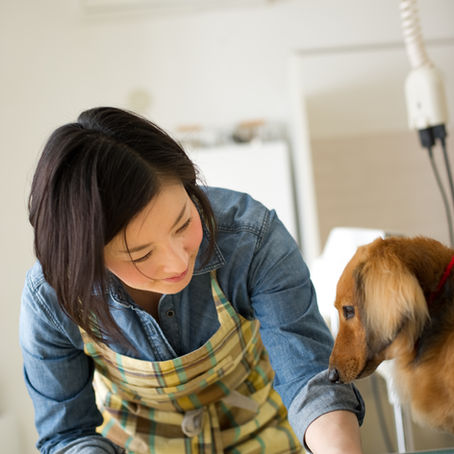 Why should pet communities join WELLNEX: