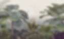 Tropical Forest