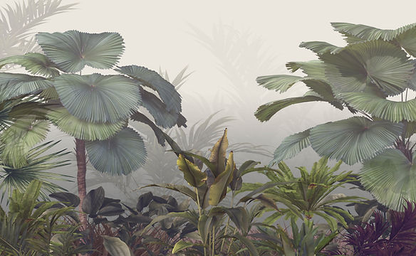 Tropical Forest