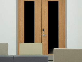 The Door of Secrets: We All Have One