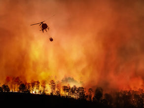 Part 30: THE ONLY WAY OUT, LA Fires, Halle Berry, Jennifer Garner, Eva Longoria, and Angelina Jolie