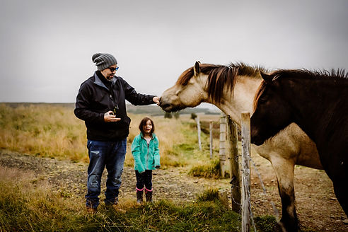 Feeding Horse