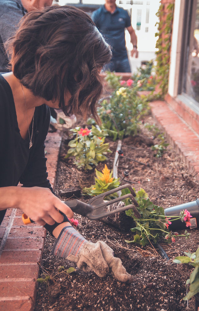 Urban Farming