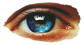 Eye With Galaxy