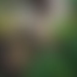 10 ESG Topics to Keep in Mind for 2025