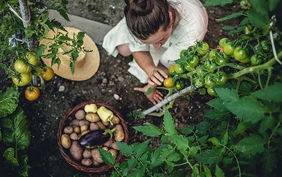 Woman Gardening in Yard