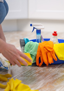 Woman with Cleaning Supplies