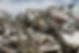 scrap metal