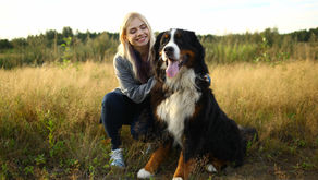 Mastering the Art of Dog Grooming Techniques