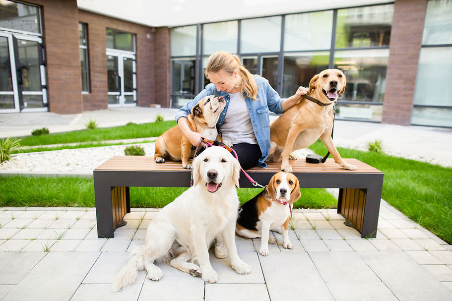 Woman with Furry Friends