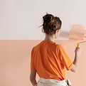 Painting Wall