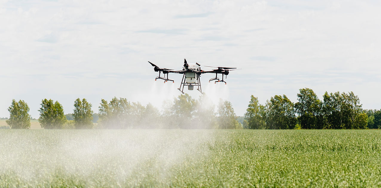 Drone Spraying Crops