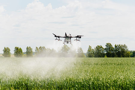 Drone Spraying Crops