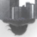 Human and Buildings Collage