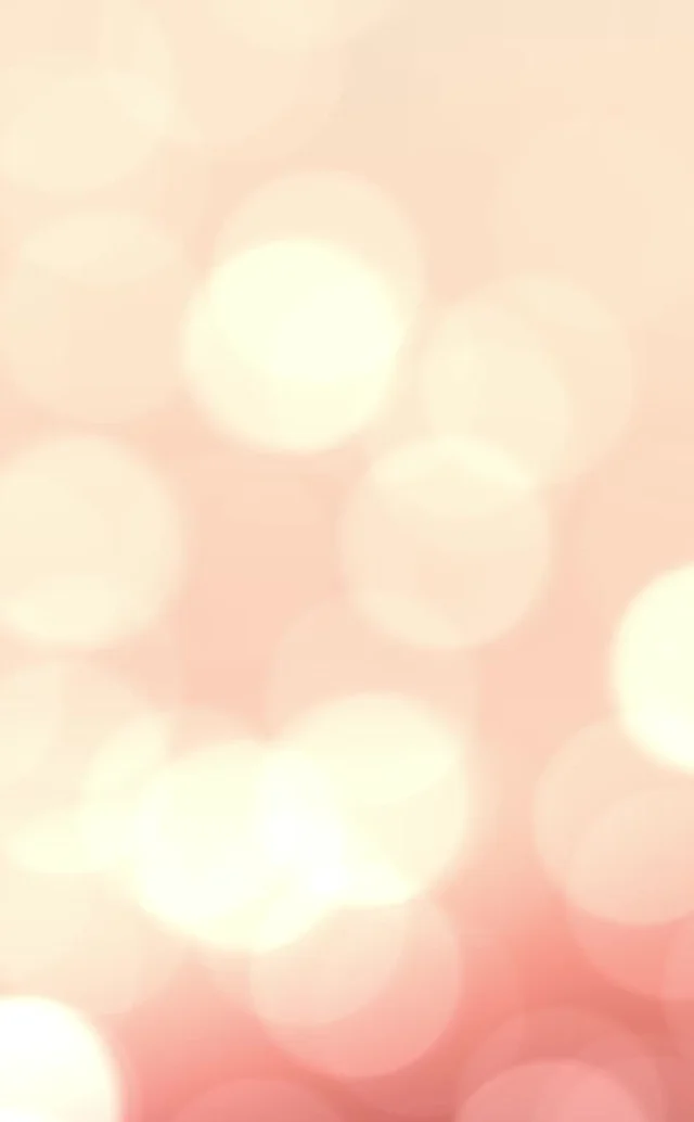 bridal shop red deer