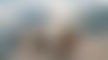 A WellConcierge® Curated Dining Guide for Discerning Travelers