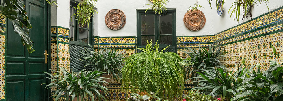 Patio with Plants