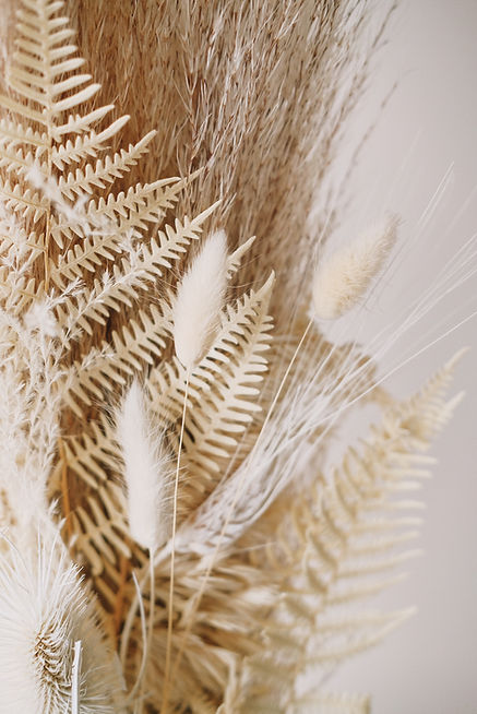 Plantes séchées décoratives
