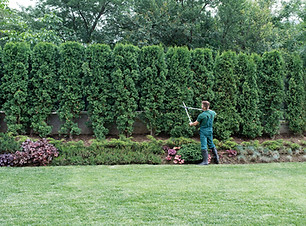 Gardener