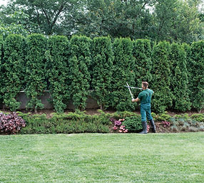Gardener
